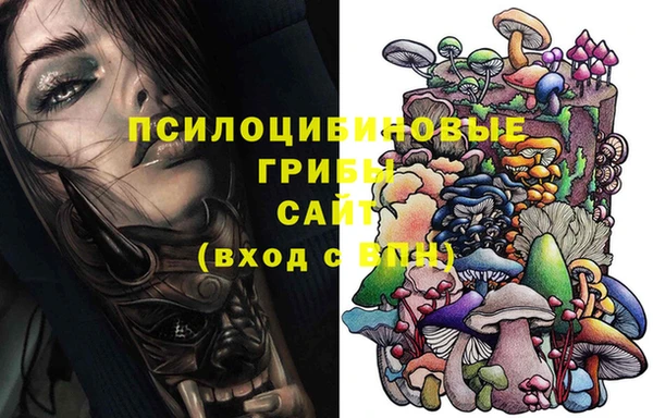 ПСИЛОЦИБИНОВЫЕ ГРИБЫ Верея