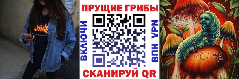 Псилоцибиновые грибы MAGIC MUSHROOMS  Купить  Мариинск 